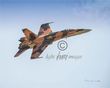 CF-18 Banking.jpg