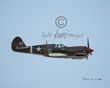 P-40.jpg