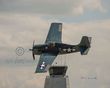 Wildcat  Tower.jpg