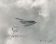 B-2 Spirit departing.jpg