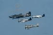 Sea Fury Group.jpg