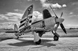 Seafury BW.jpg