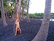 IMG_20131110_174433.jpg