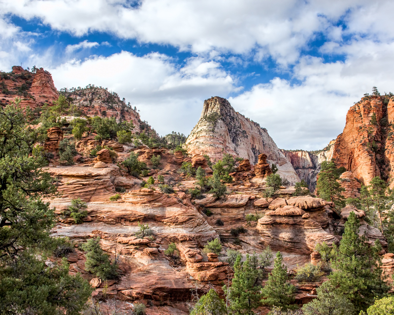 Zion-mountain_7064TZ-108(1).jpg