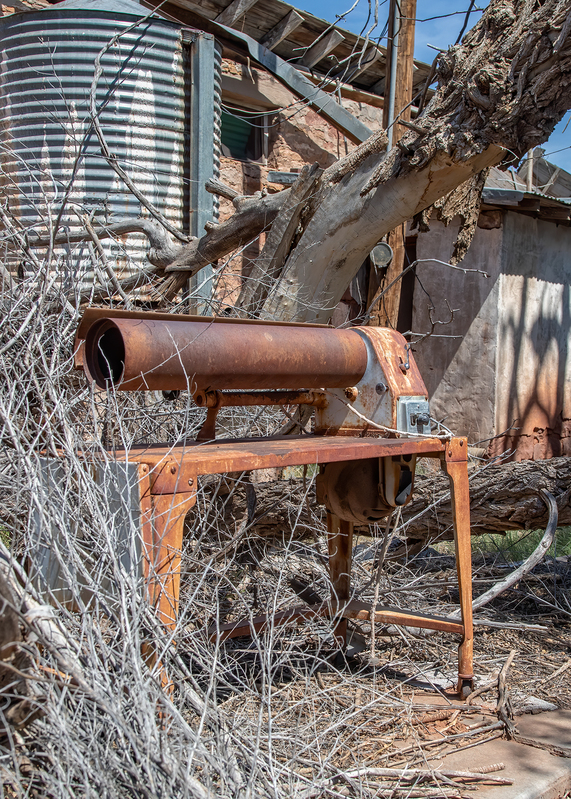 abandoned-roller_8873-57.jpg