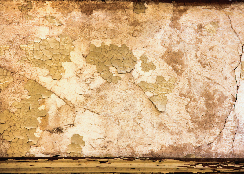 abandoned-wall_4461-75.jpg