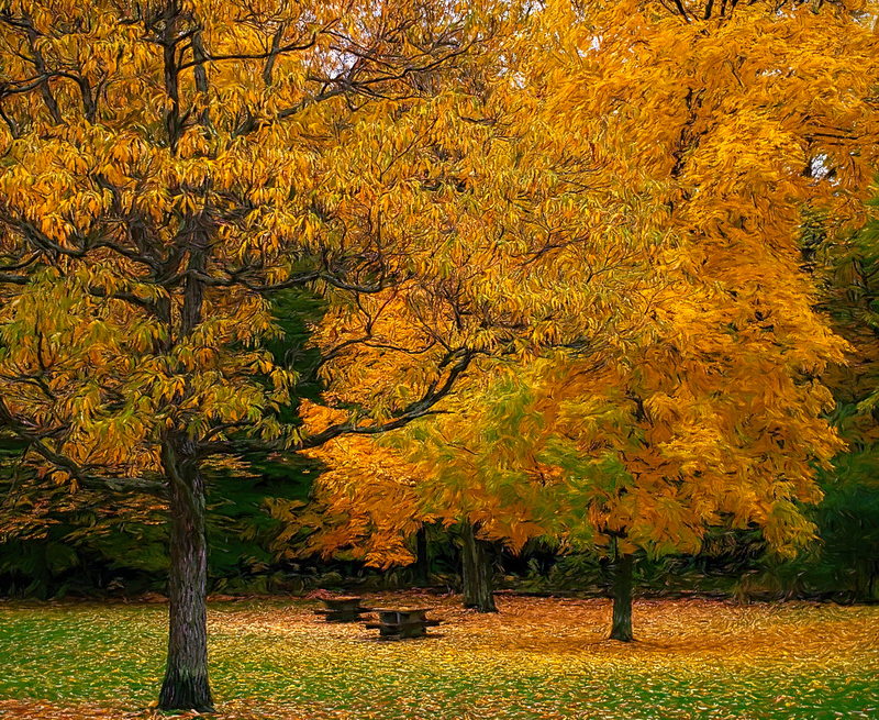 autumn-tree-paint_134625-865.jpg