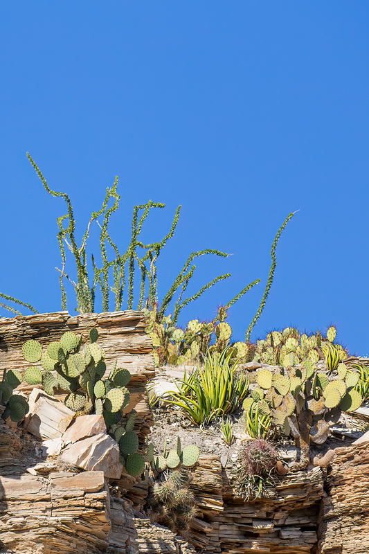 big-bend-rocks_4341-46_1.jpg