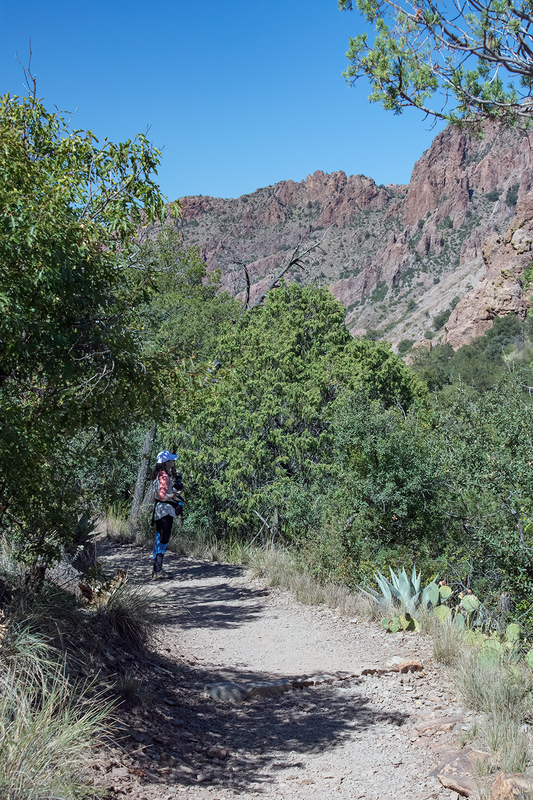 big-bend-trail_4276-46_1.jpg