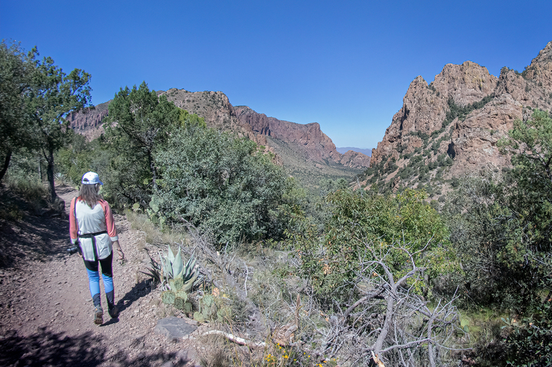 big-bend-trail_4302-64_1.jpg