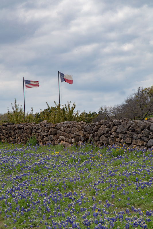 bluebonnets-flag_2480-46.jpg