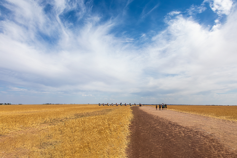 cadillac-ranch_8803-64.jpg