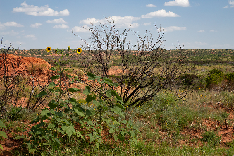 caprock_3383-64.jpg