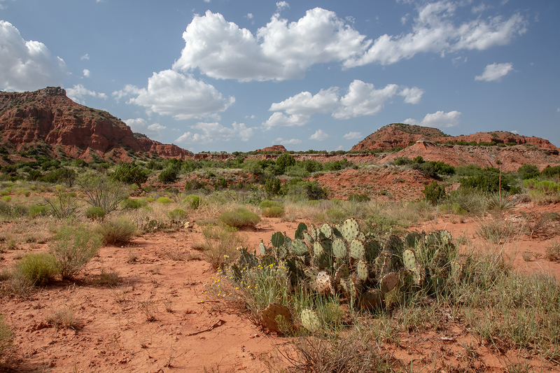 caprock_3396-64.jpg