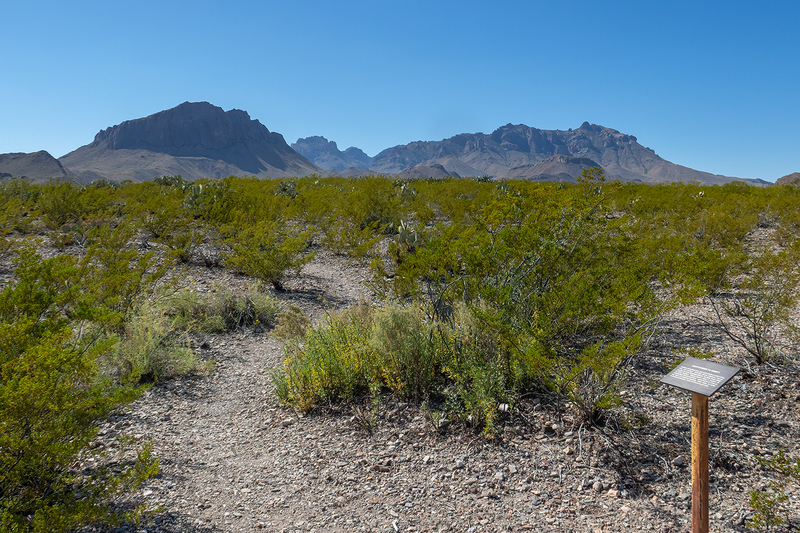 desert-path_6906-64_1.jpg