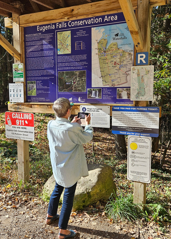 eagenia_104804.jpg
