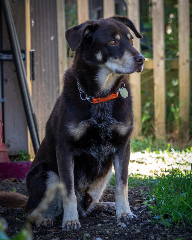 finigan_0434.jpg