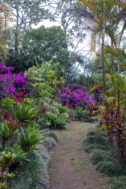 garden-side_1156-46.jpg