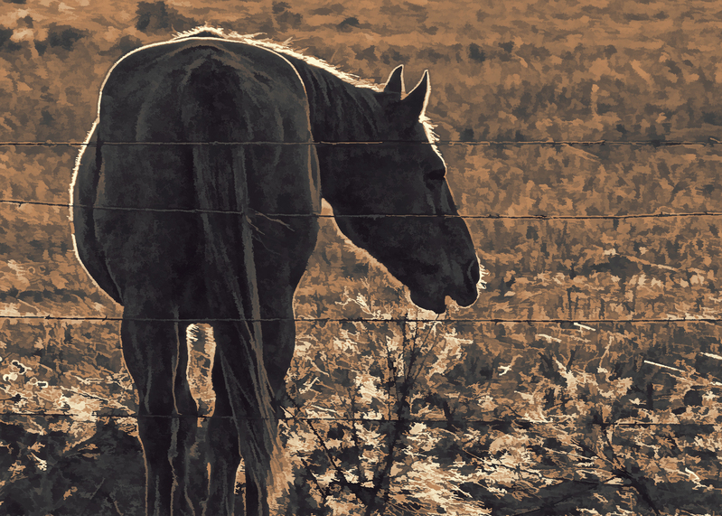 horse-sepia_3054-75.jpg