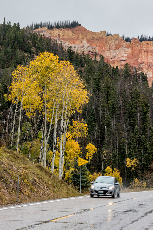 kolob-canyon_7137-64.jpg