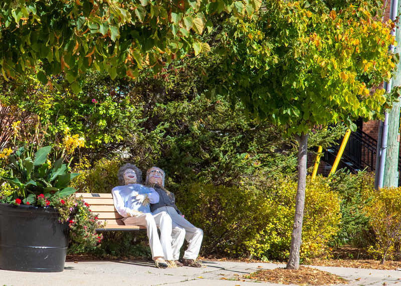 meaford_0677.jpg
