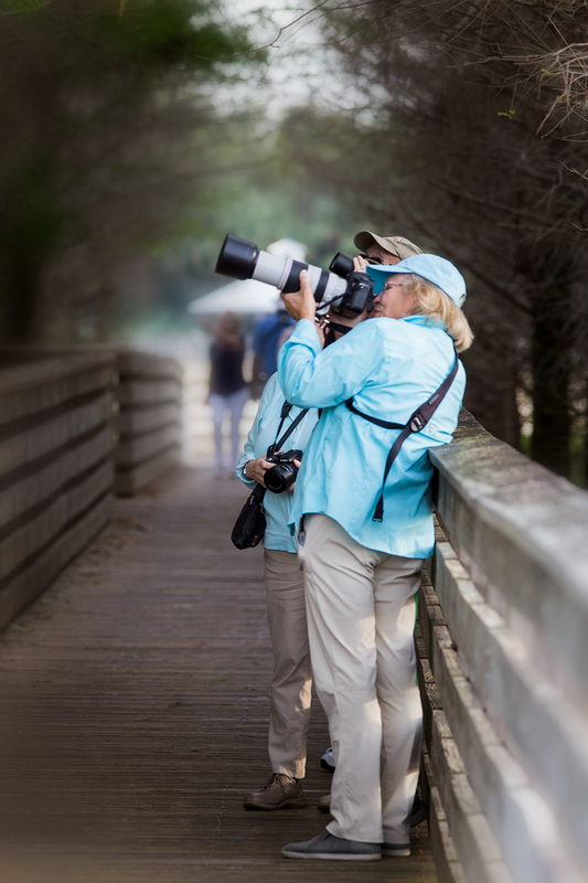 paparazzi_9804-46(1).jpg