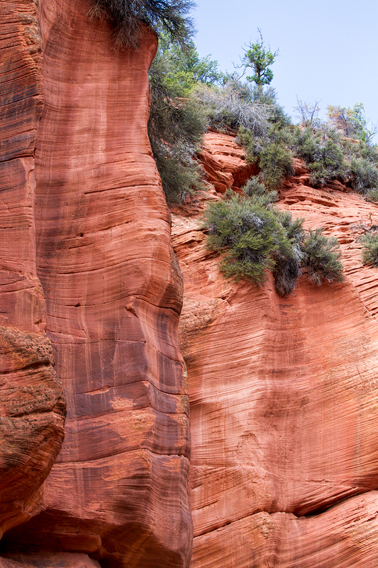peek-a-boo-slot_0965-46.jpg