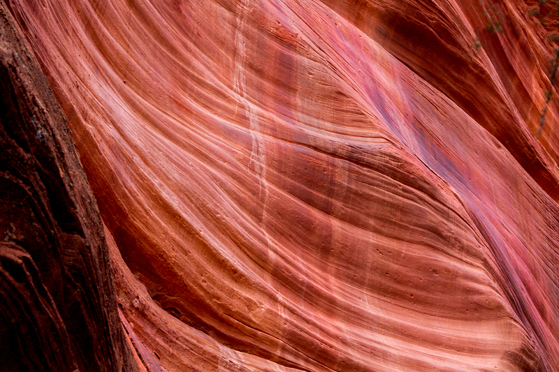 peek-a-boo-slot_0972-64.jpg