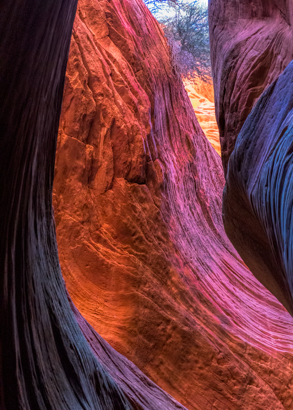 peek-a-boo-slot_20920-57.jpg