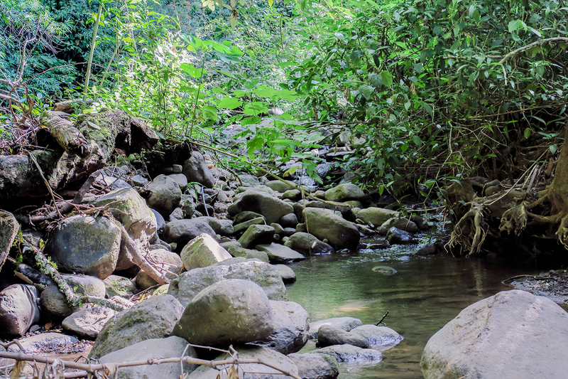 river_5951-64(1).jpg