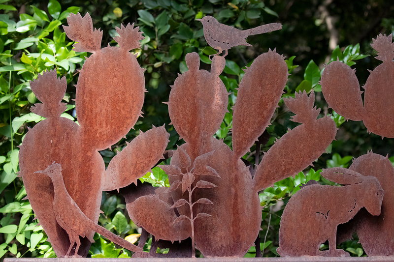 rusty-roadrunner_3609-64.jpg