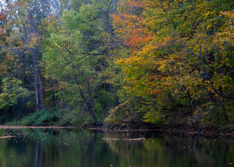 walters falls_0715.jpg