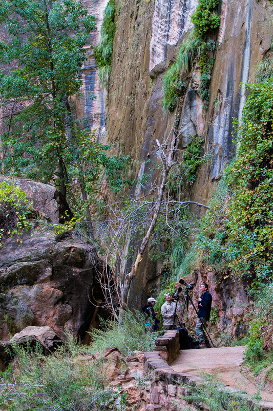 zion_1170-46(1).jpg