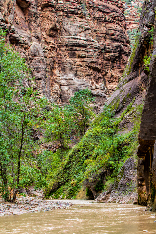 zion_1182-46(1).jpg