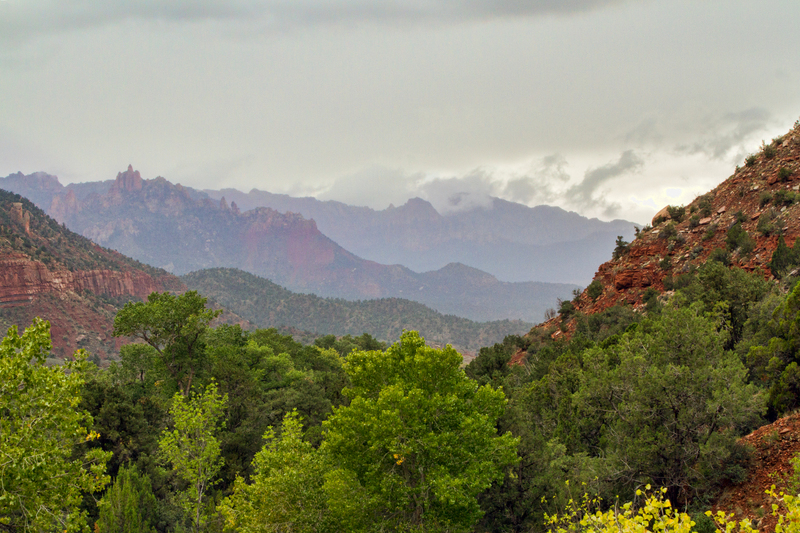 zion_1210-64(1).jpg