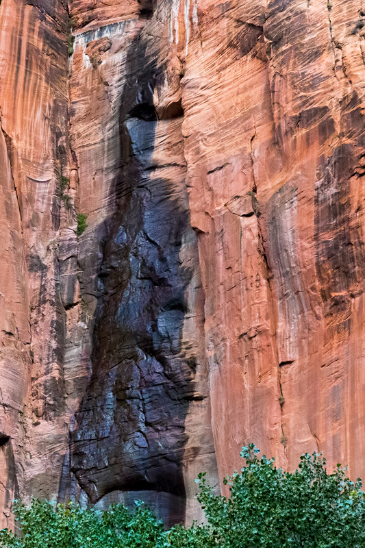 zion_30184-46(1).jpg
