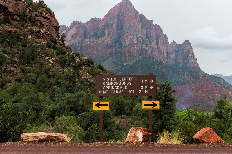 zion_30276-64(1).jpg