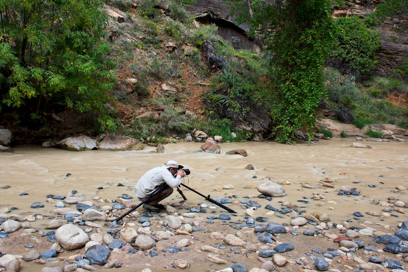 zion_7192-64.jpg
