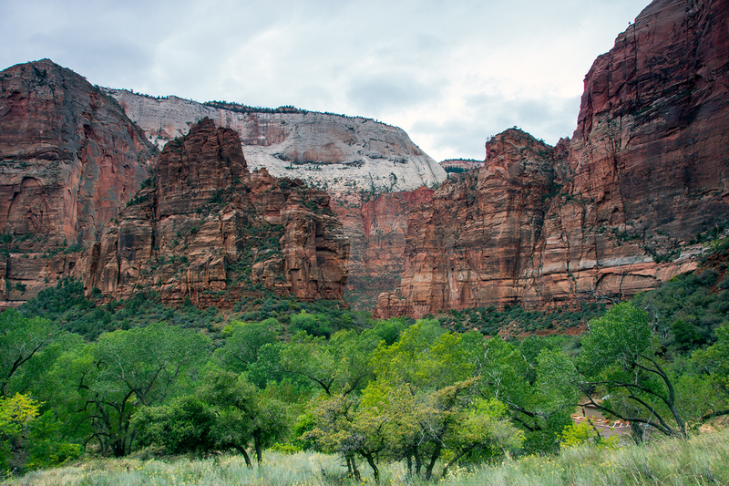 zion_7206-64(1).jpg