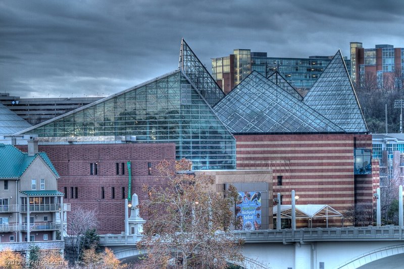 20111119ChattanoogaARchitecture-0507_08_09_10_11.jpg :: Tennessee Aquarium