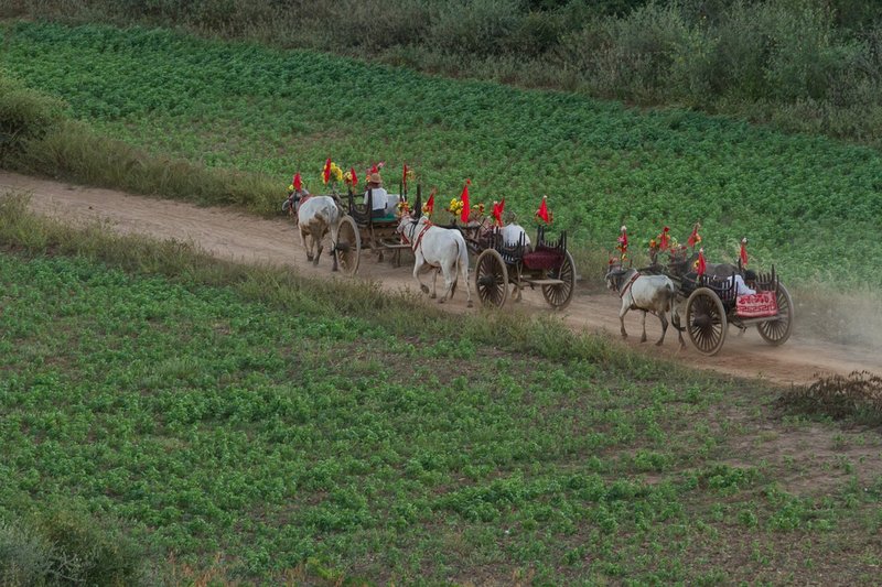 20121127Bagan-9771.jpg