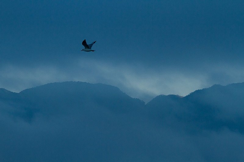20121206Golden Rock-4377.jpg