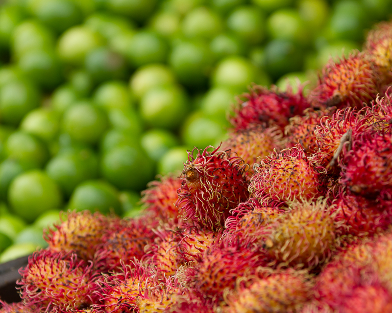 2013080913Colon-2579.jpg :: Mamon Chino fruit