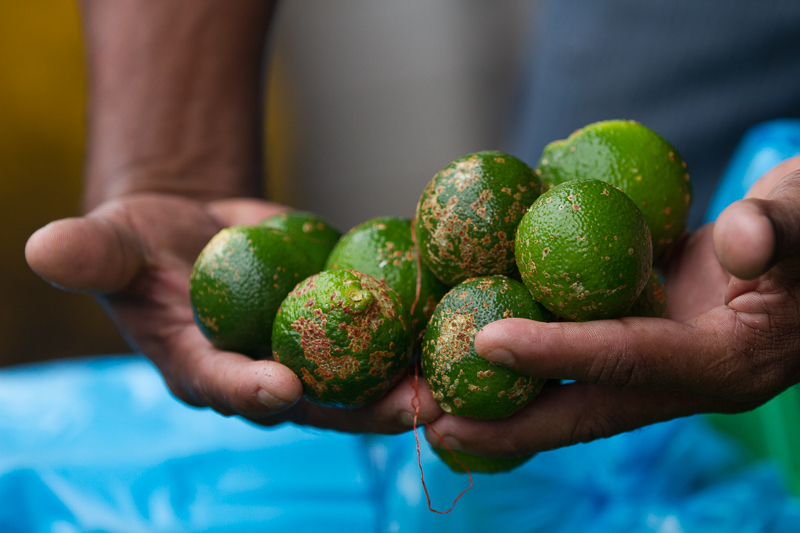 2013080913Colon-2623.jpg :: Fresh limes