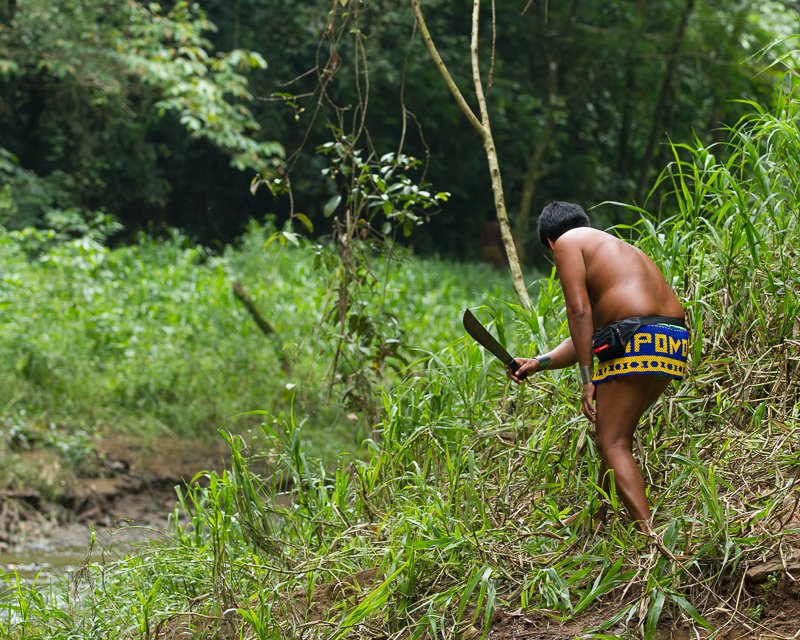 20130810EmberaIndians-2952.jpg :: Didimo clearing way for our group