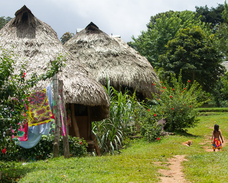 20130810EmberaIndians-3103.jpg :: Embera homes