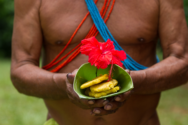 20130810EmberaIndians-3132.jpg :: Lunch! Plantains, Tilapia, wrapped in a banana leaf