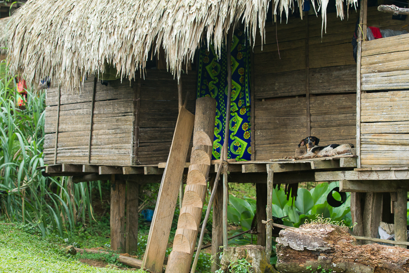 20130810EmberaIndians-3179.jpg :: An Embera hut