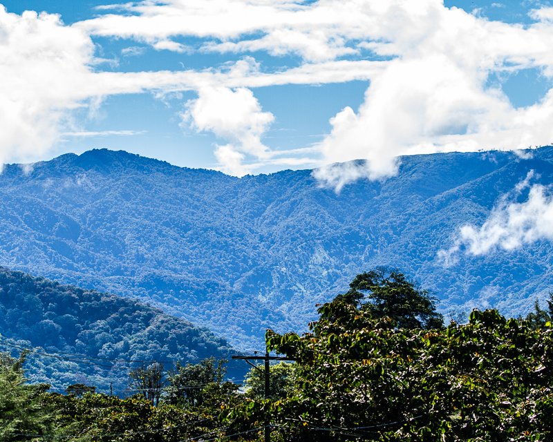 20130813FincaLerida-3662.jpg :: View from Finca Lerida