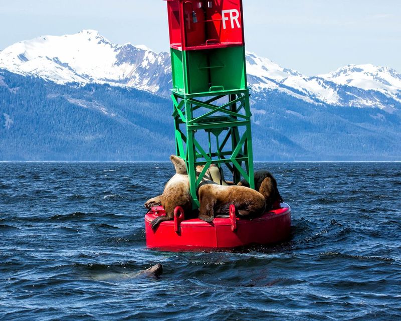 Kings of the Buoy.jpg :: It seems that once you are off, you have to fight to get back on